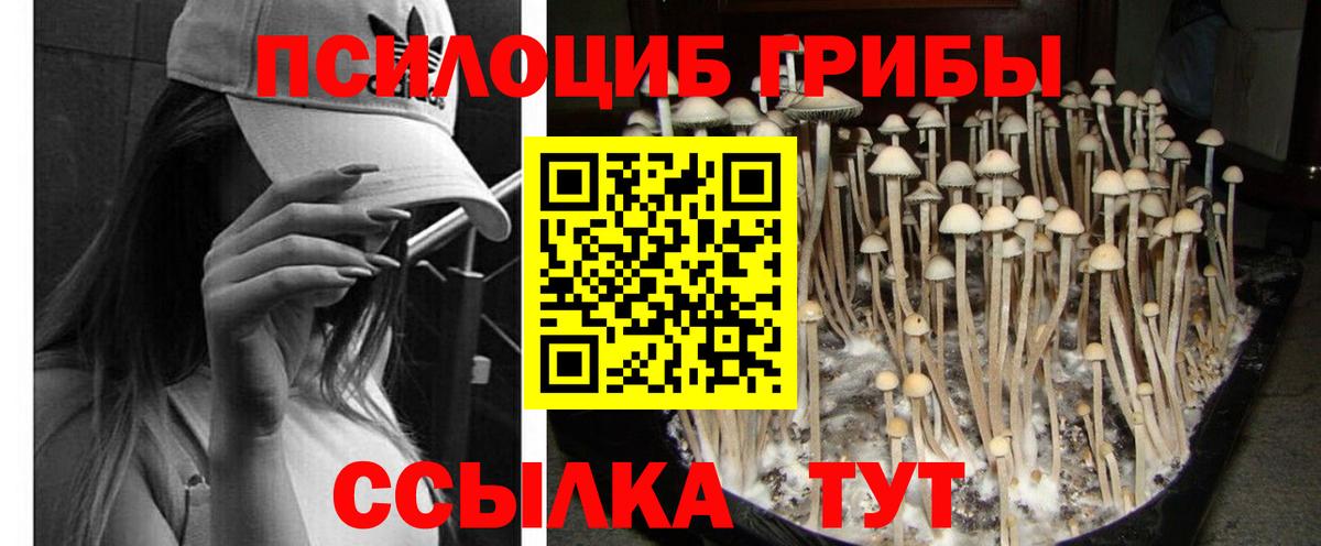 Псилоцибиновые грибы прущие грибы Петрозаводск